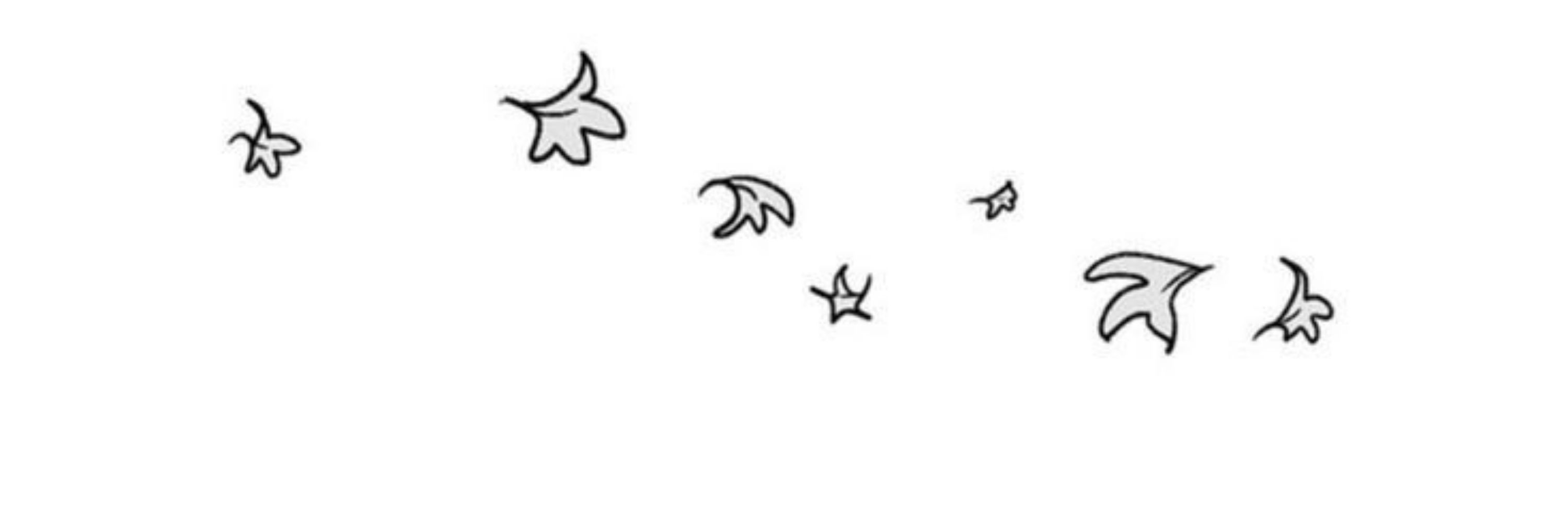 Nick 🍂