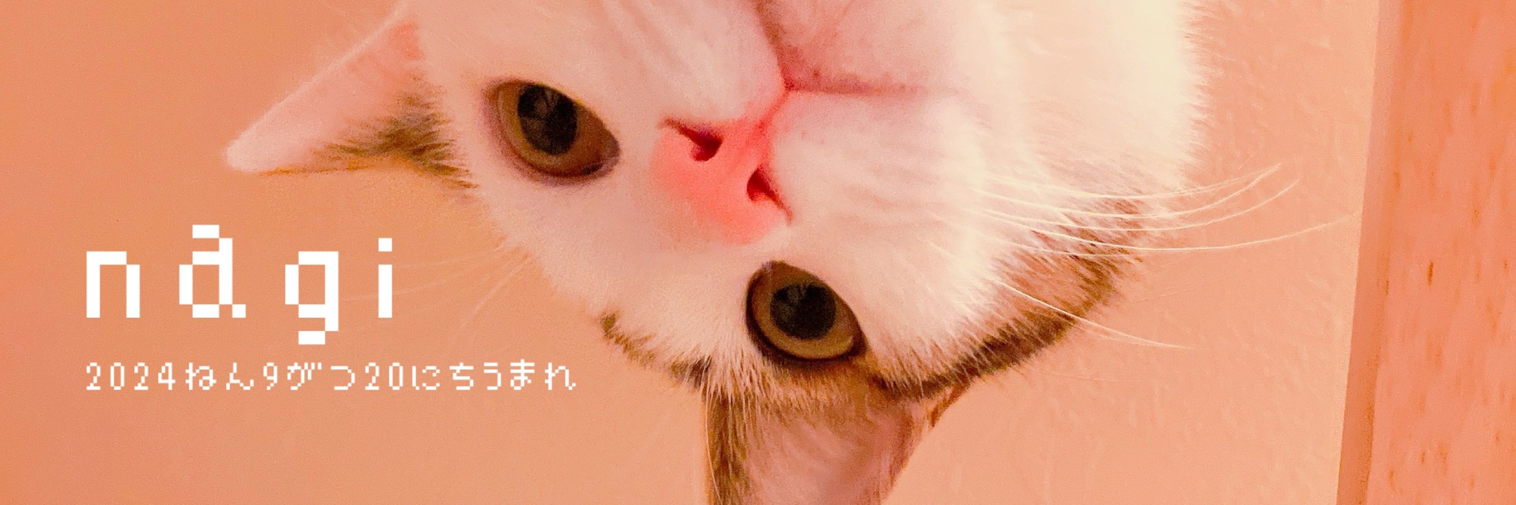 どる☽