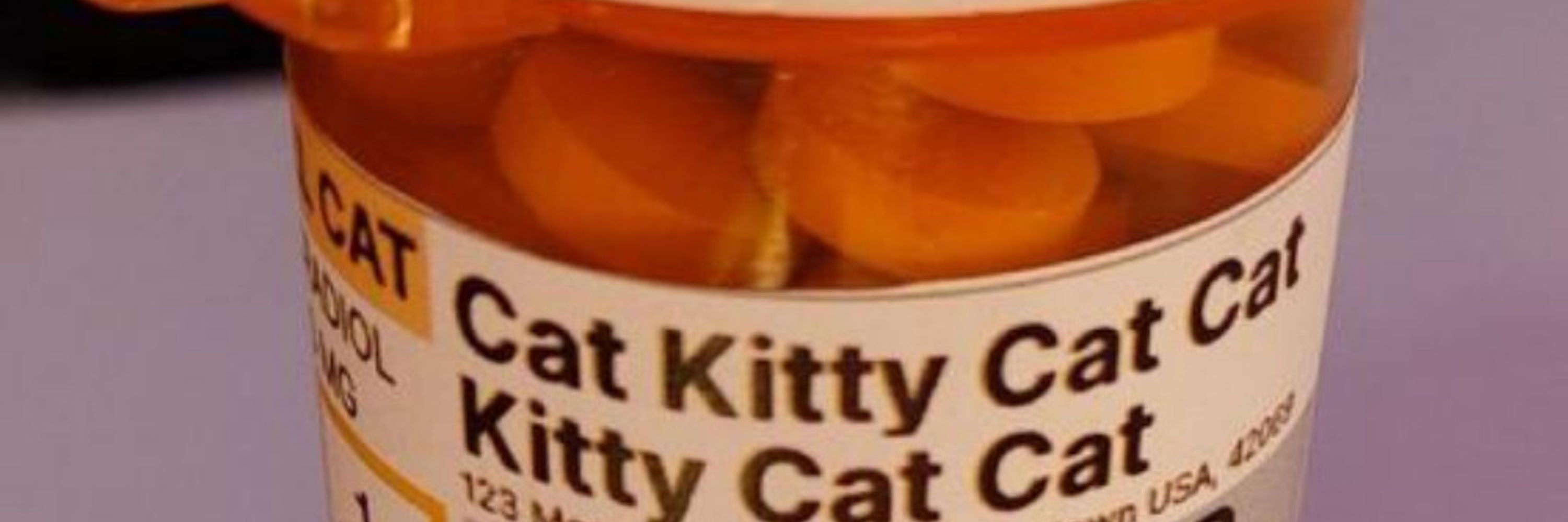 Ash Kitt 🔜 | Growl | AC | FD | MP? | 🔞