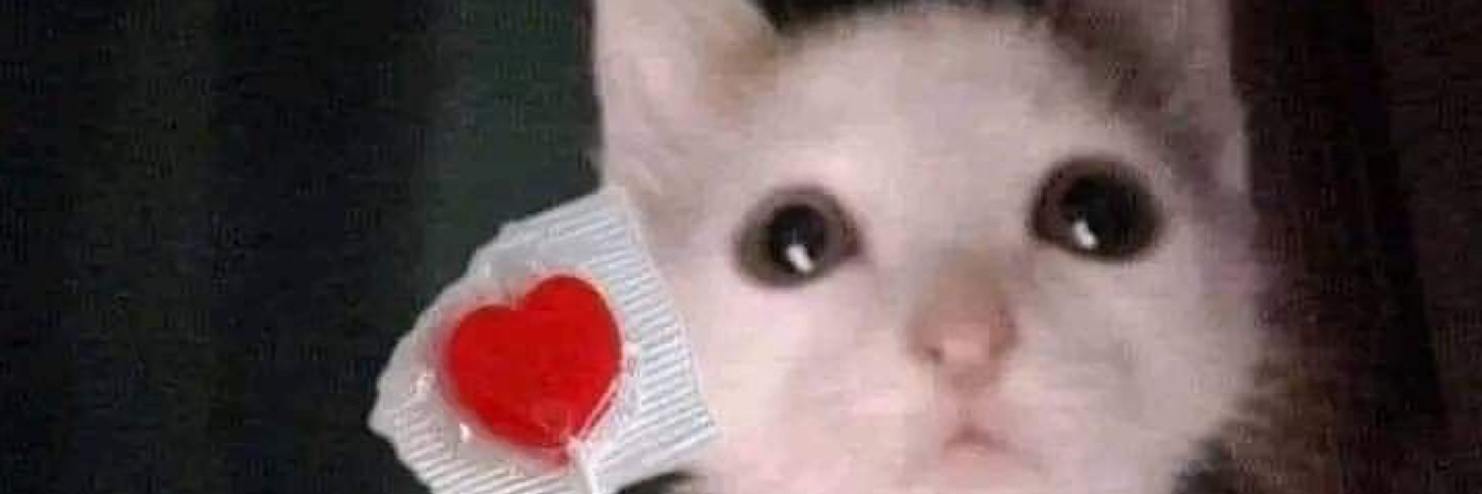 minkies