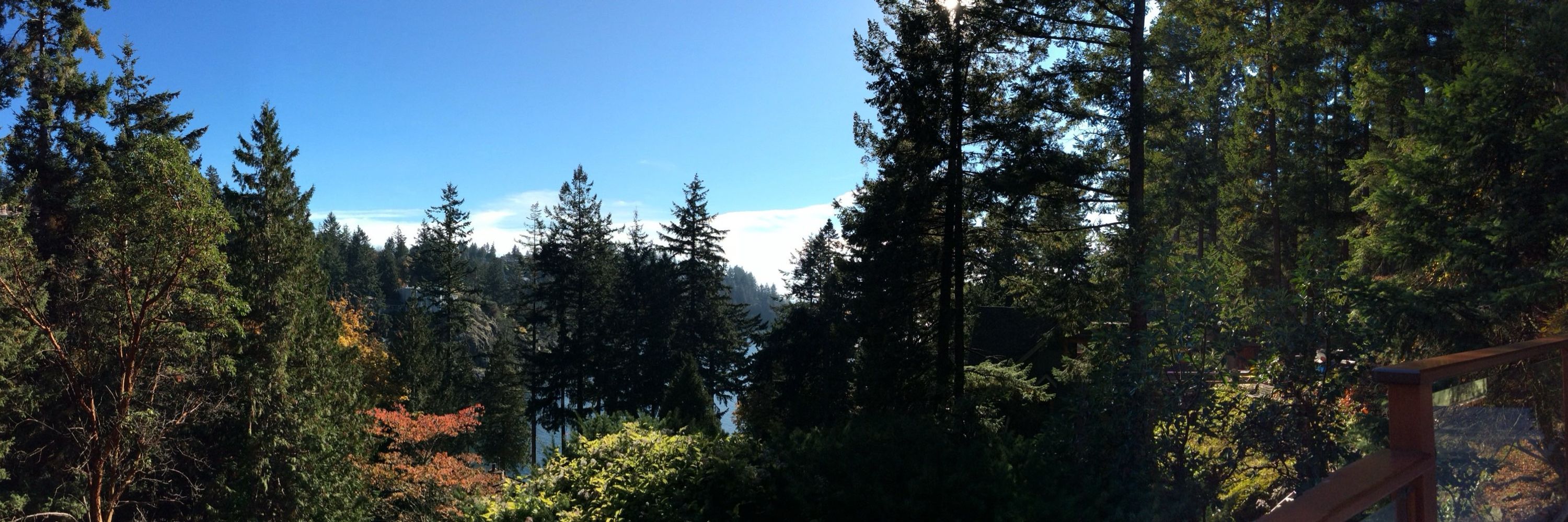 Greg @hikerca.bsky.social