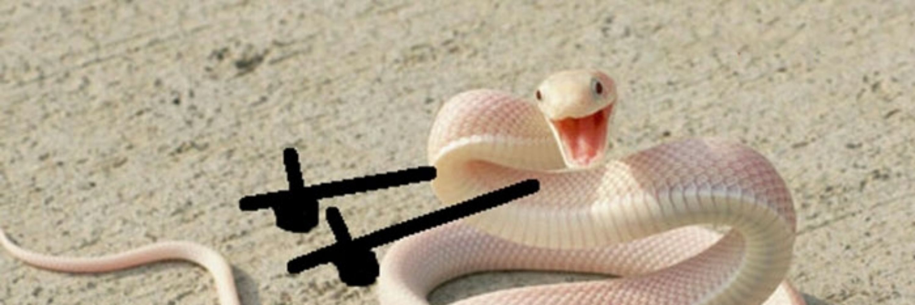 Interslicery