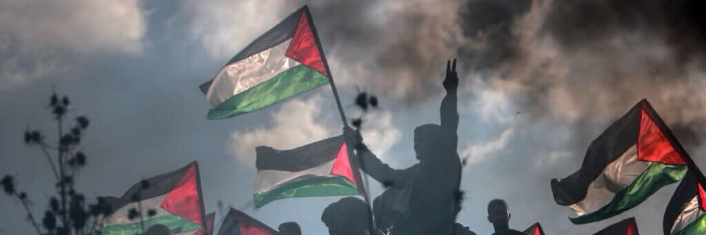 Jimmy J 🫒🔑🇵🇸