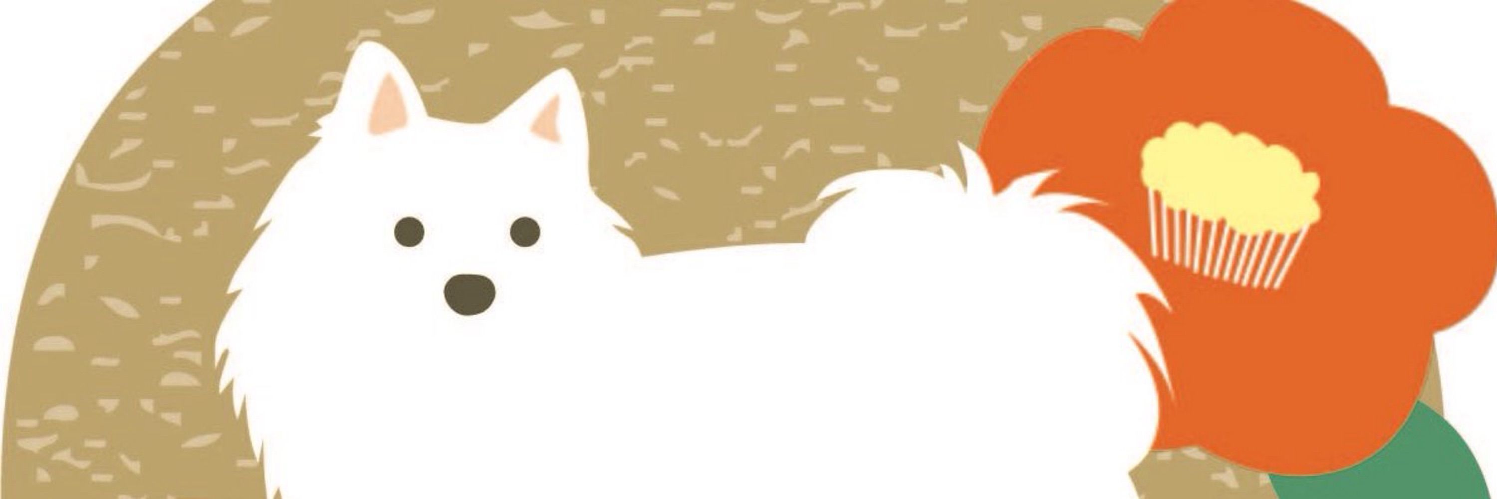 まゆこ
