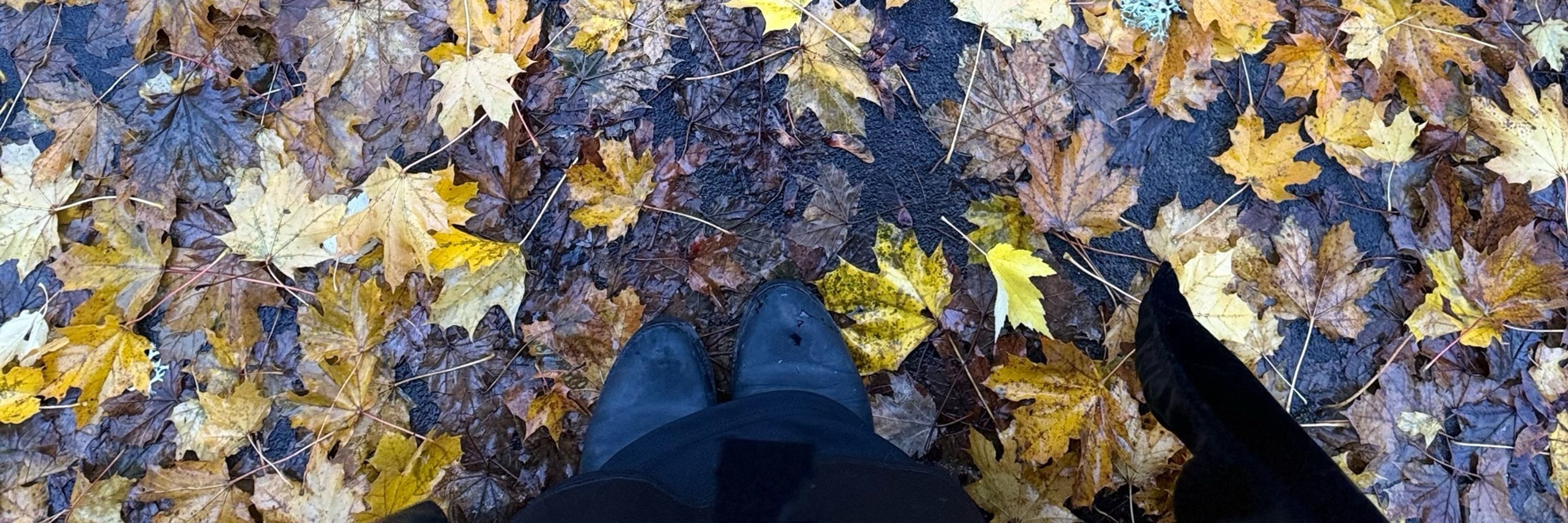 Autumn🍂