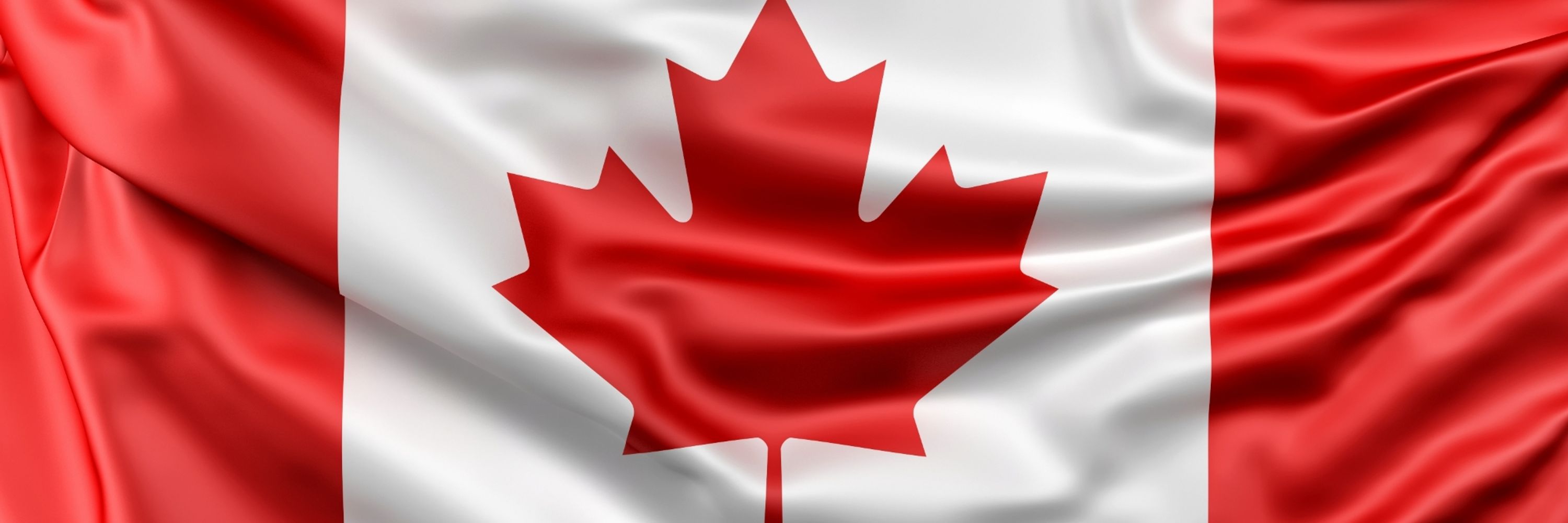 BeLEAFer 🇨🇦