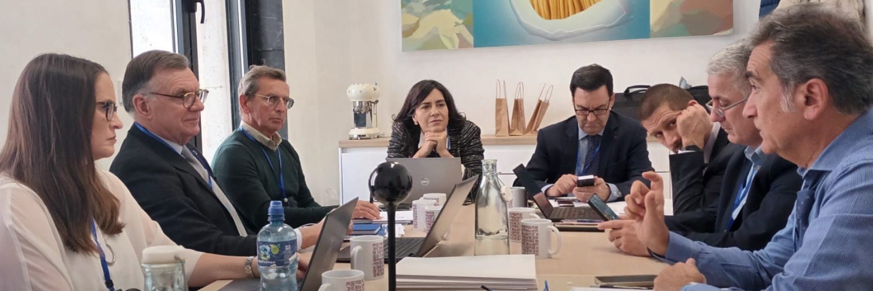 UDiTE - European Federation of Chief Execs in Local Government
