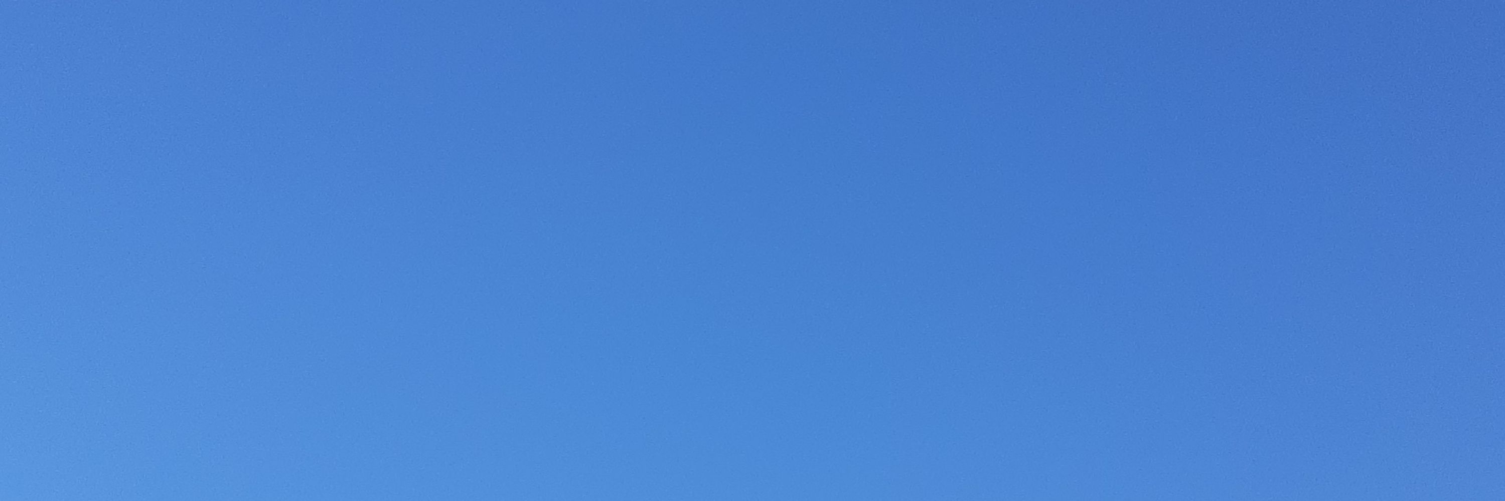 dpcleary