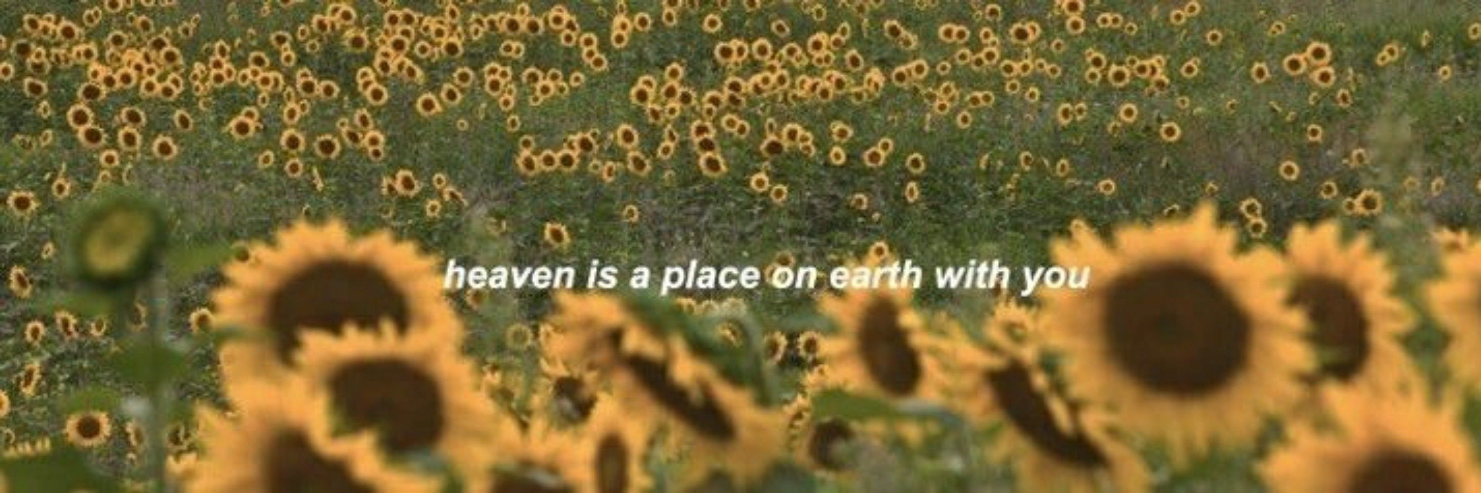 𝕲𝖎𝖌𝖎 🌻