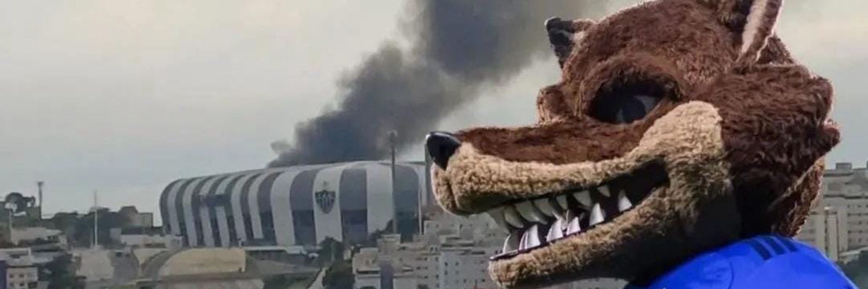 Degêzeiro 🦊