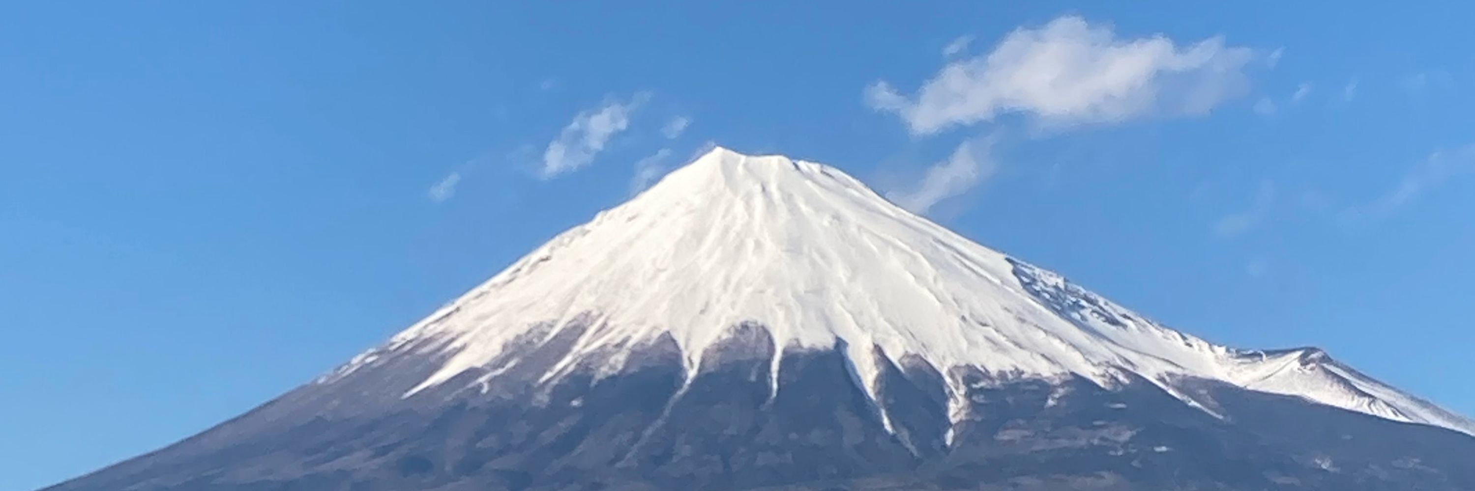 コータさん