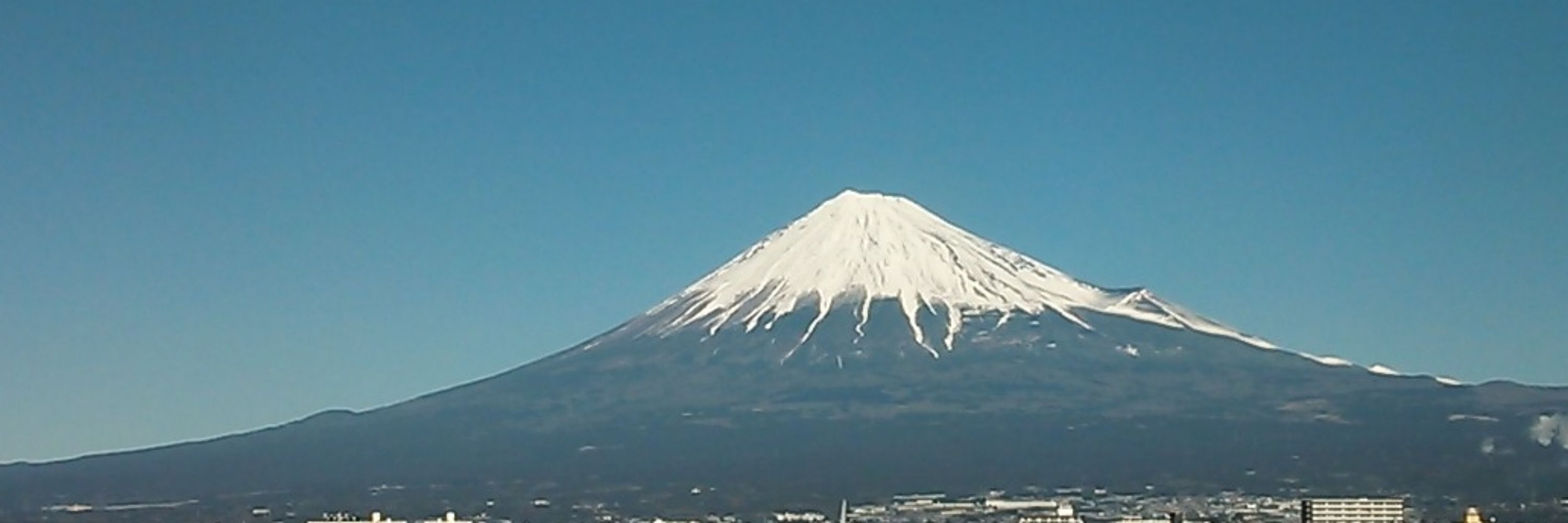 まみお☆彡