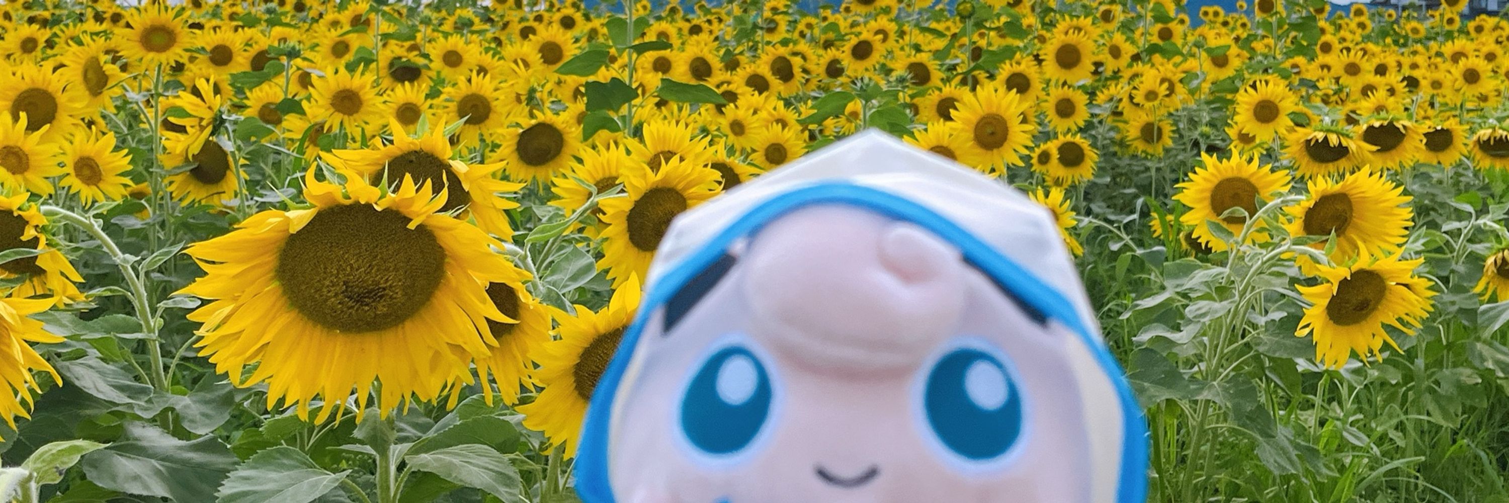 おはる
