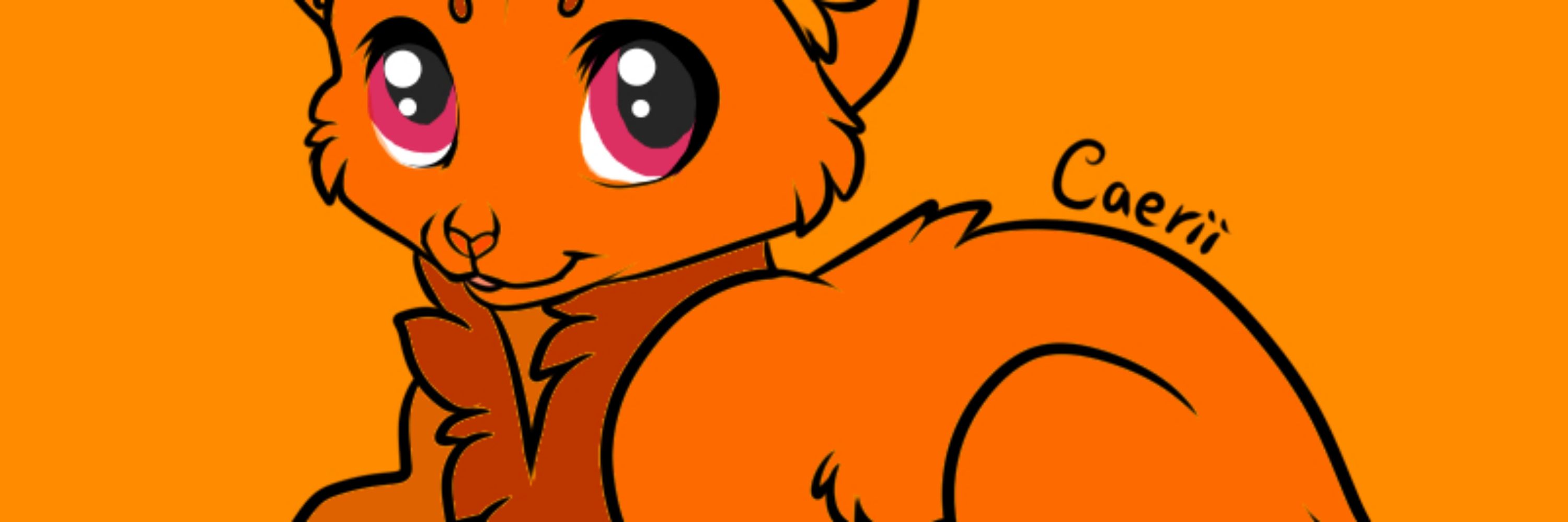 orange kitty kat