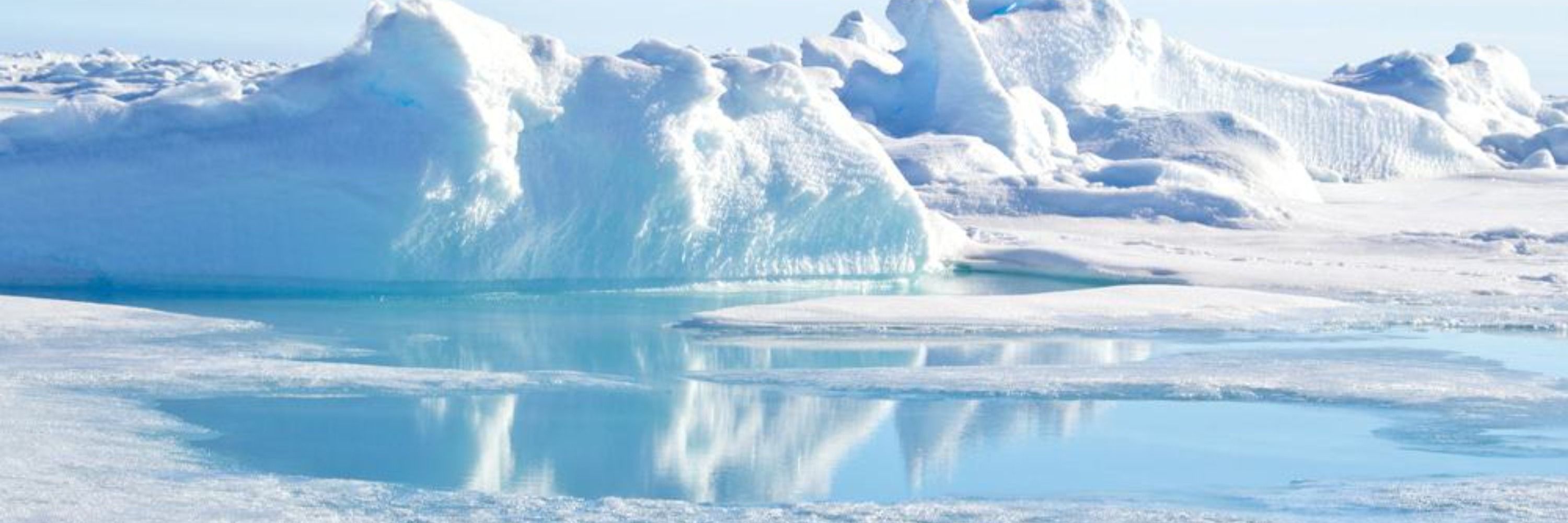 Polar1z