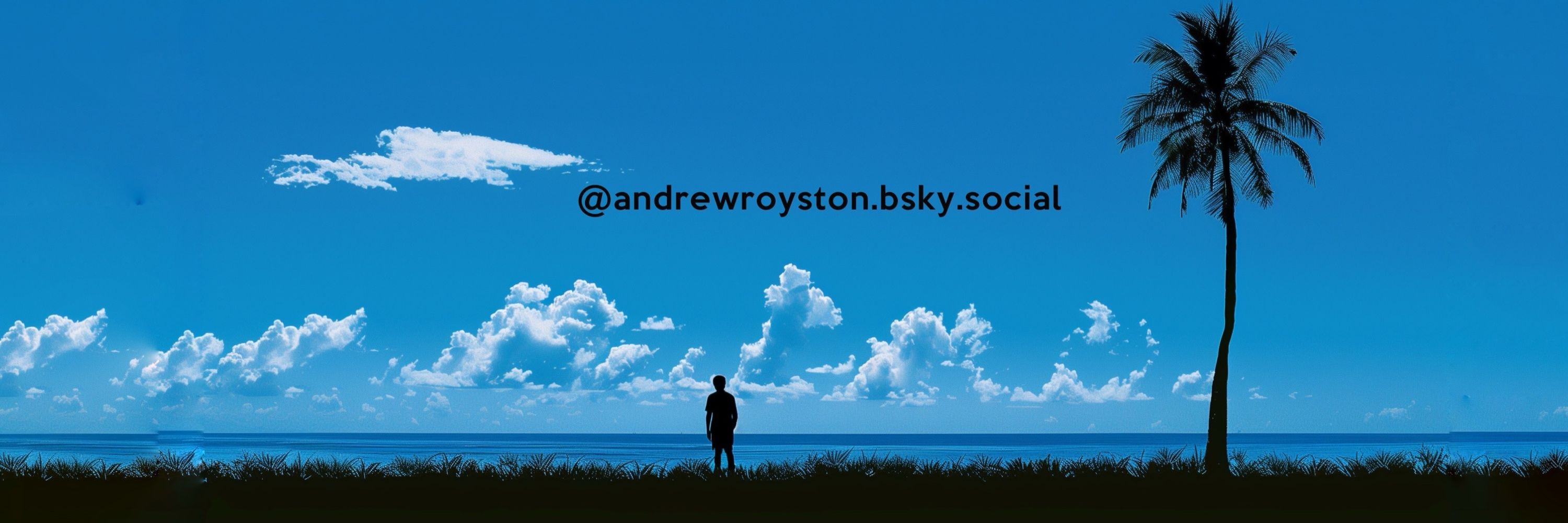 Andy Royston