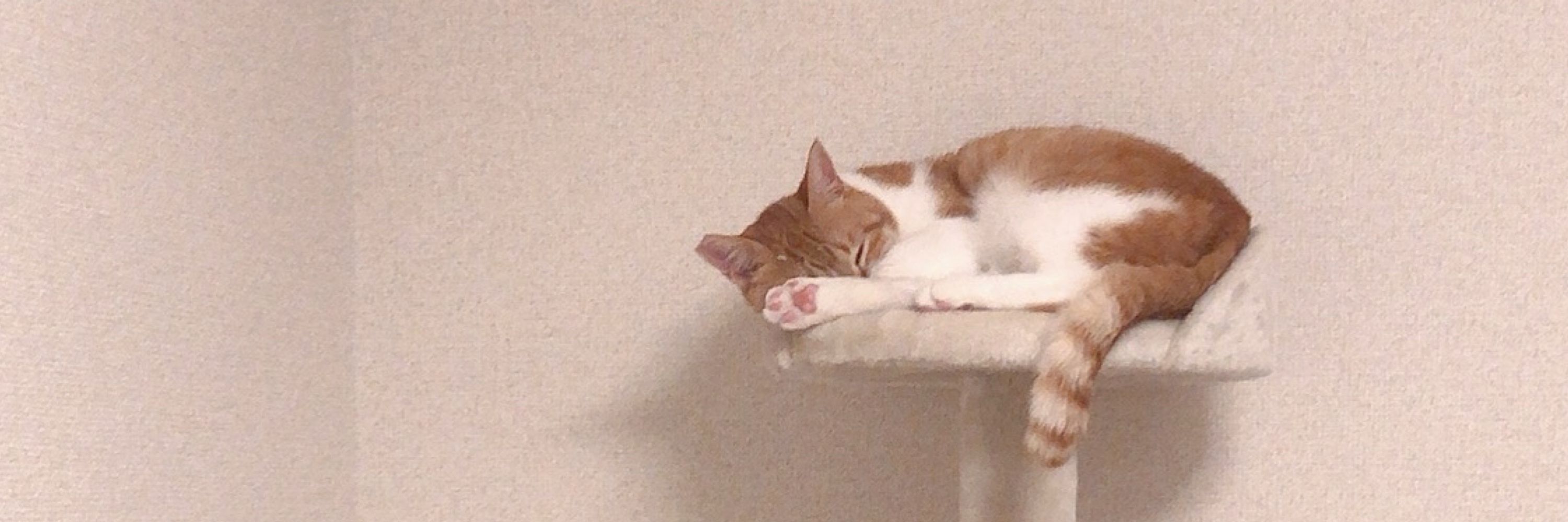 いささか