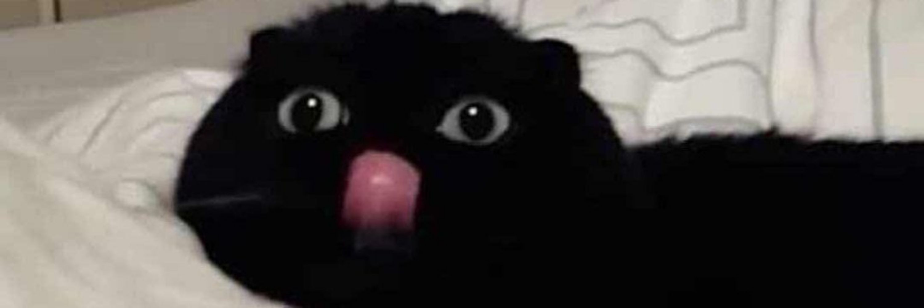 Devsh