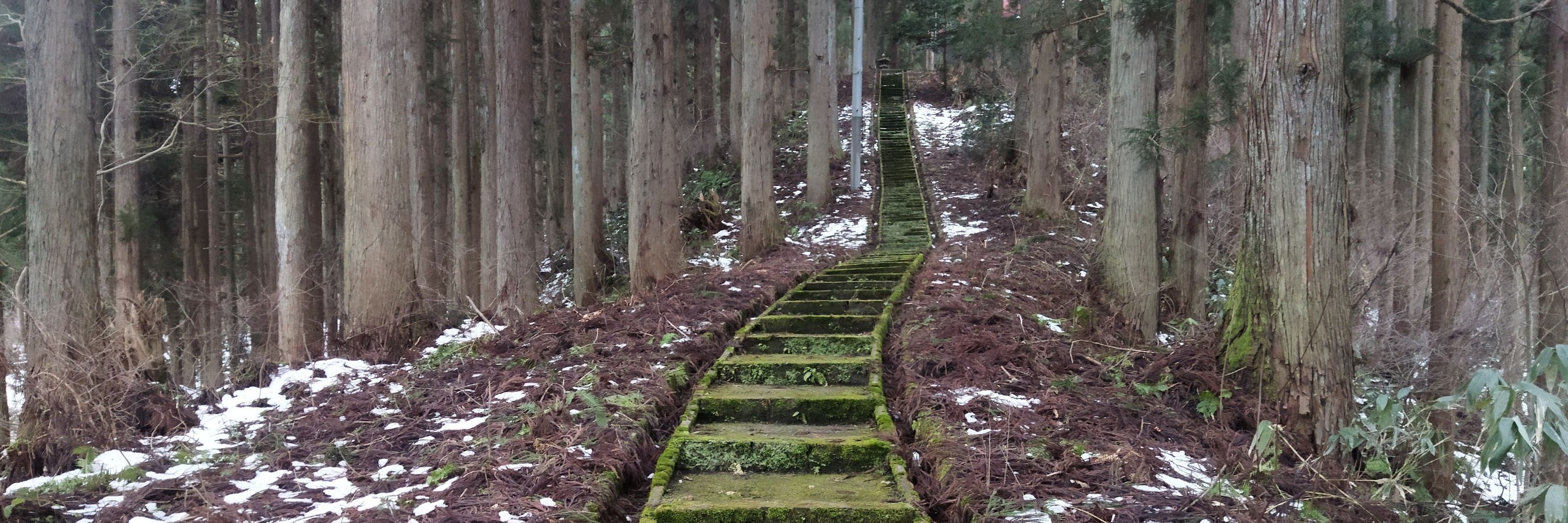 過冷却