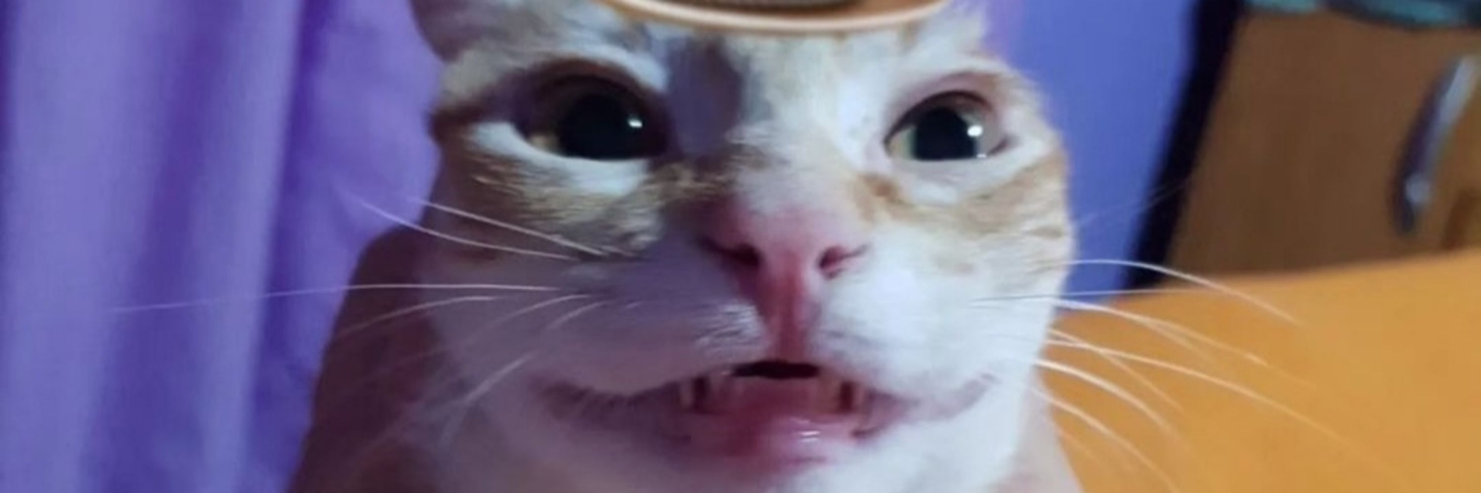 sam