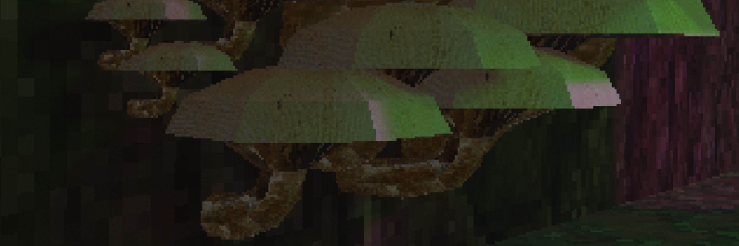 jooky