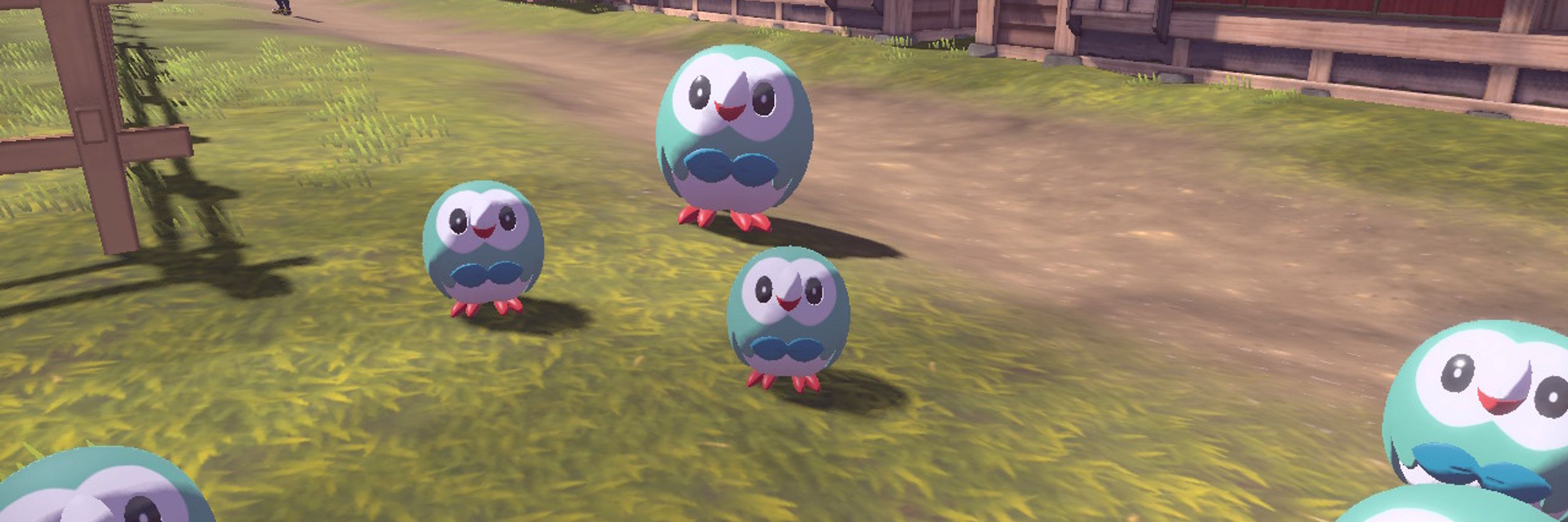 Rowlet