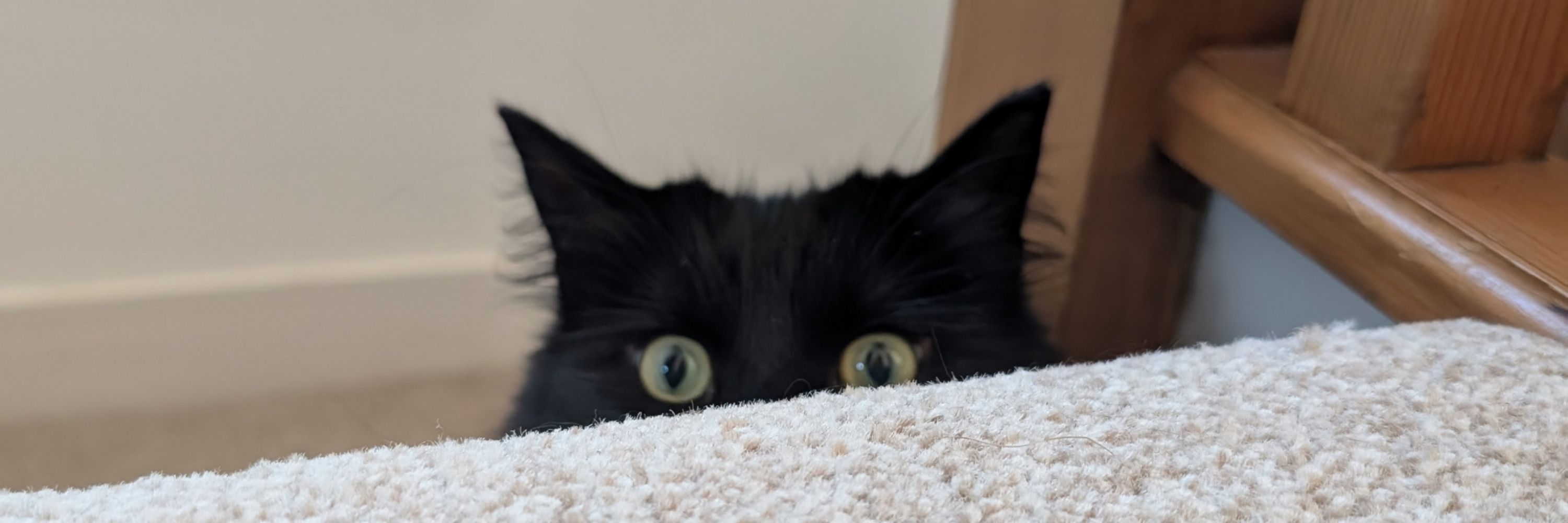 TyetheDragon
