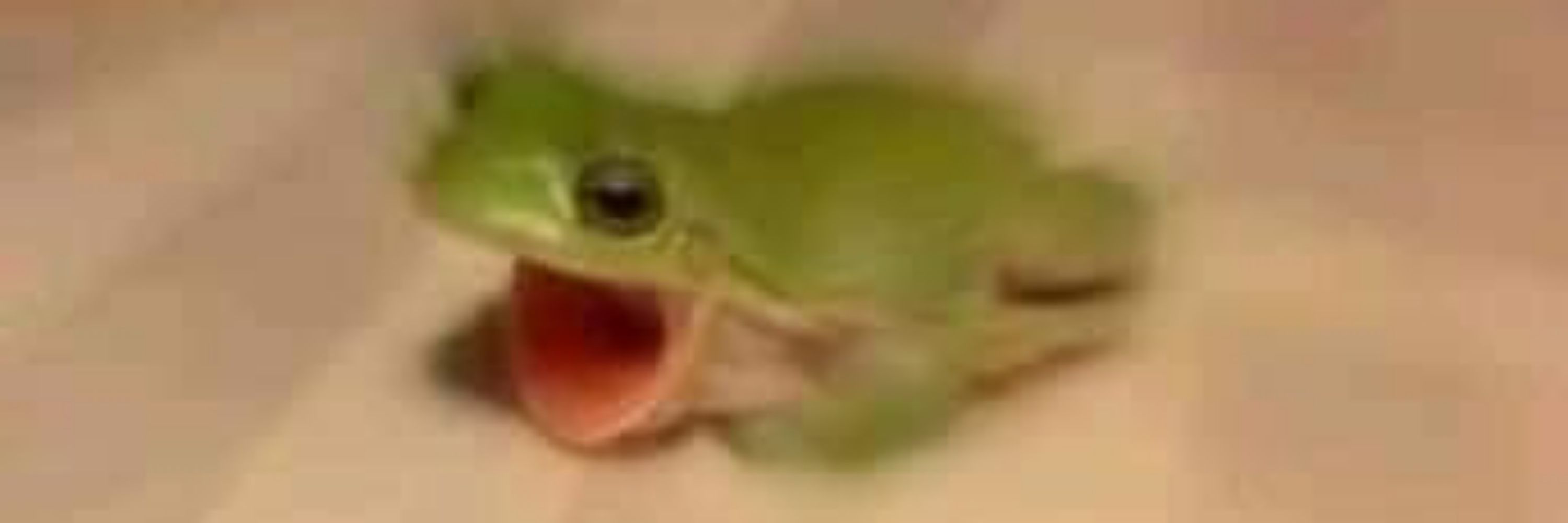 J Sô