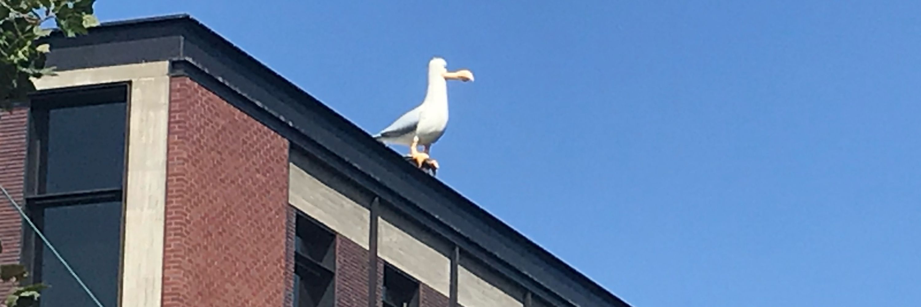 らむ