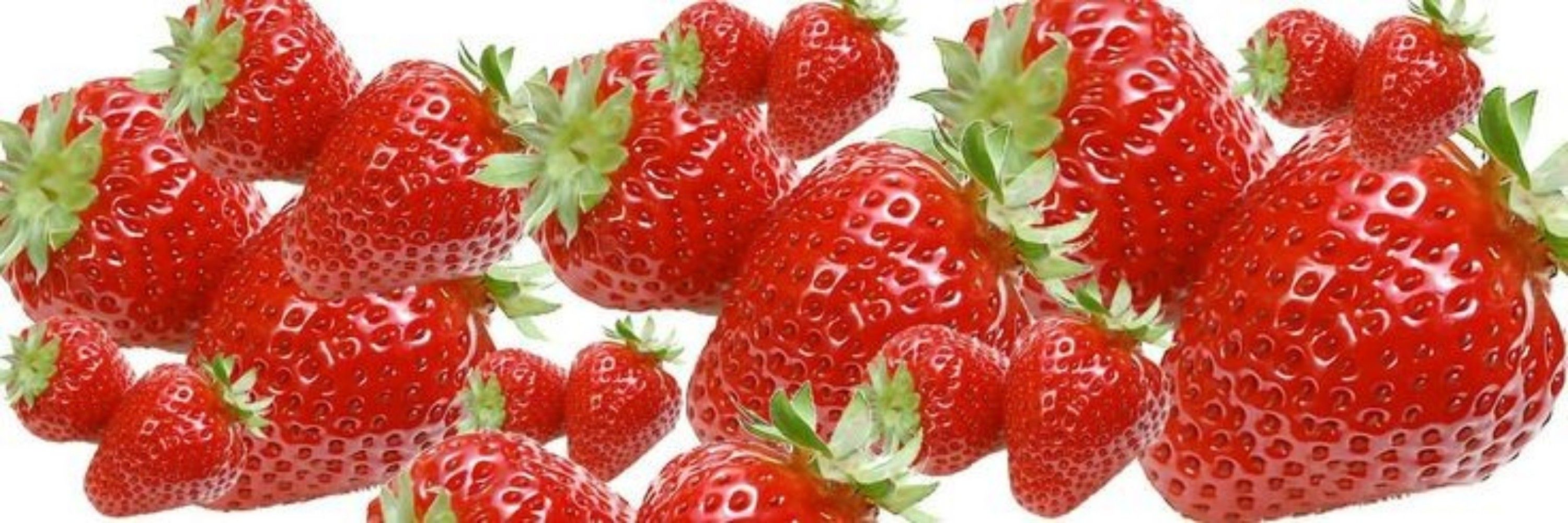 gigica ripilica iridessa de morango