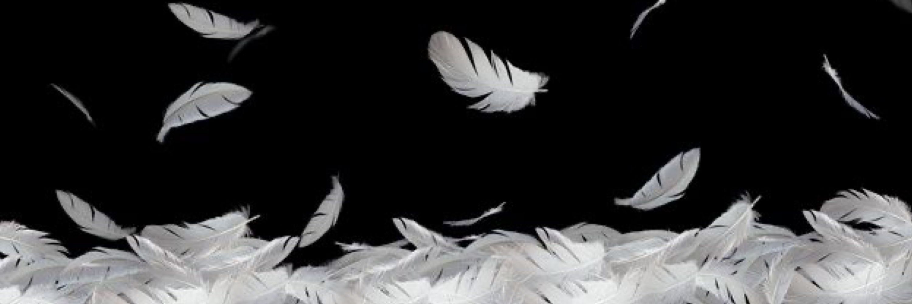 Min 🕊️🖤