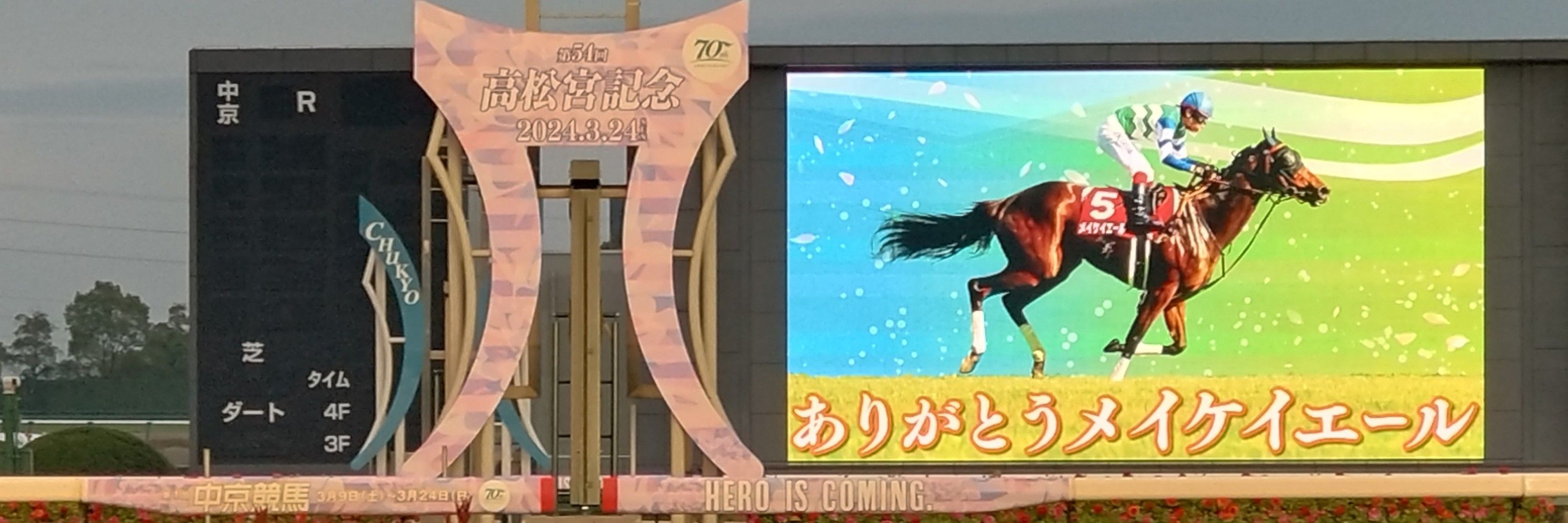 namu🐴