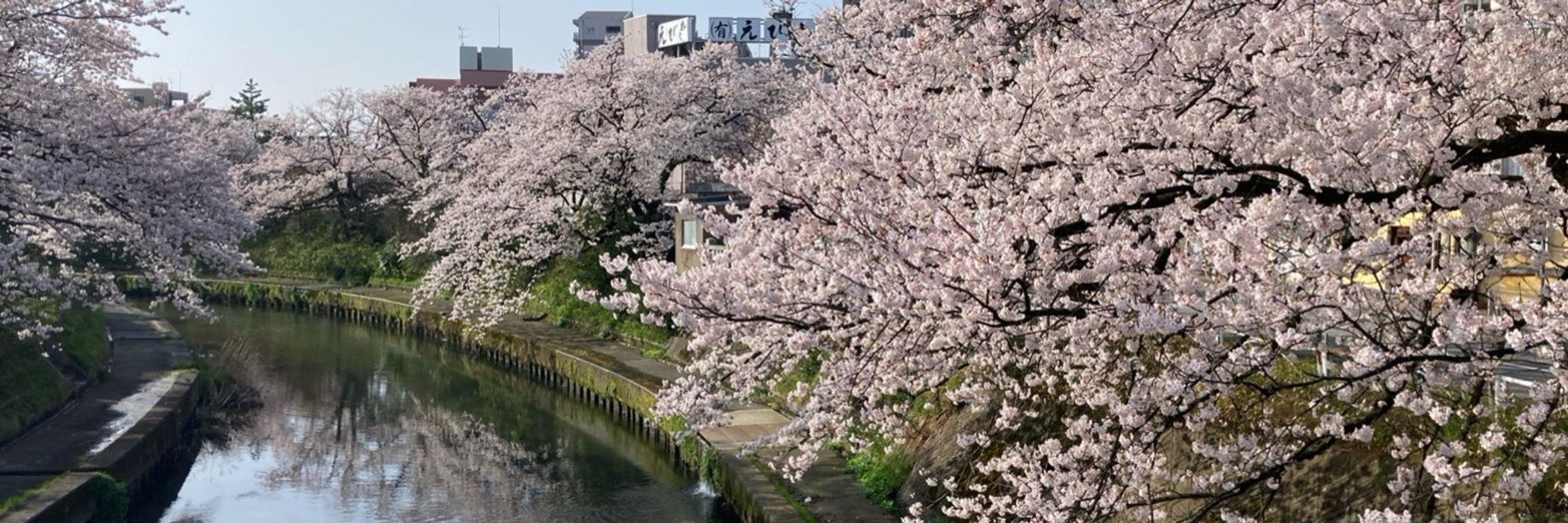 Tetsuya Kawahara