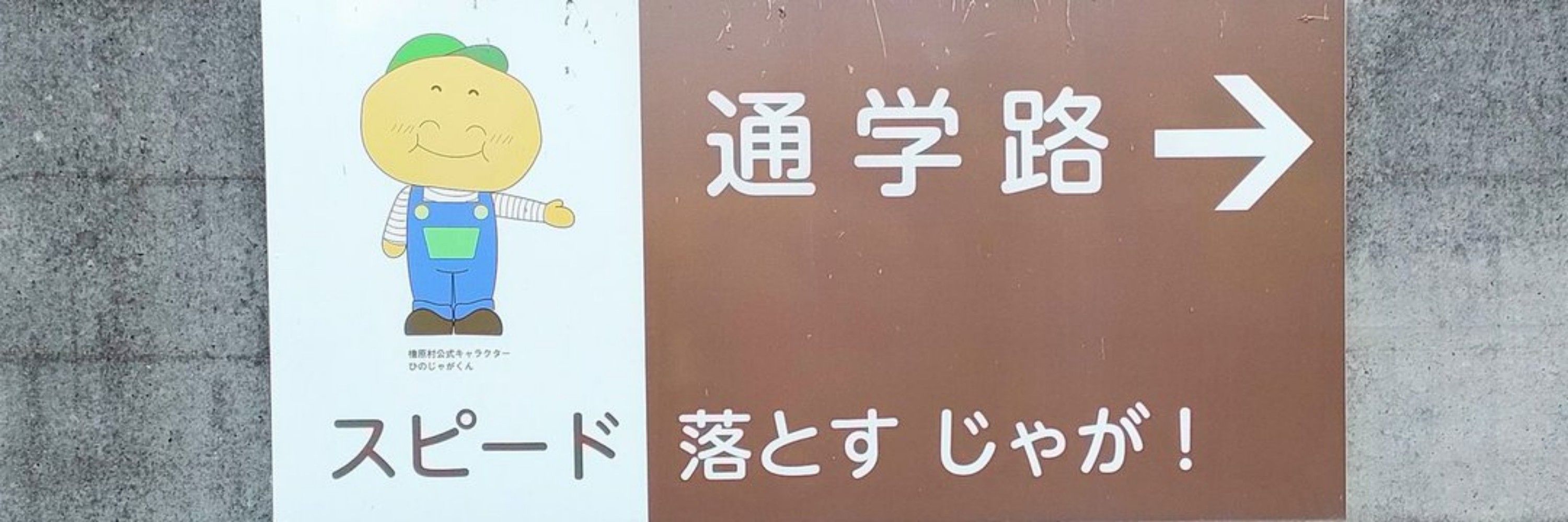 皮下脂肪/GBtL