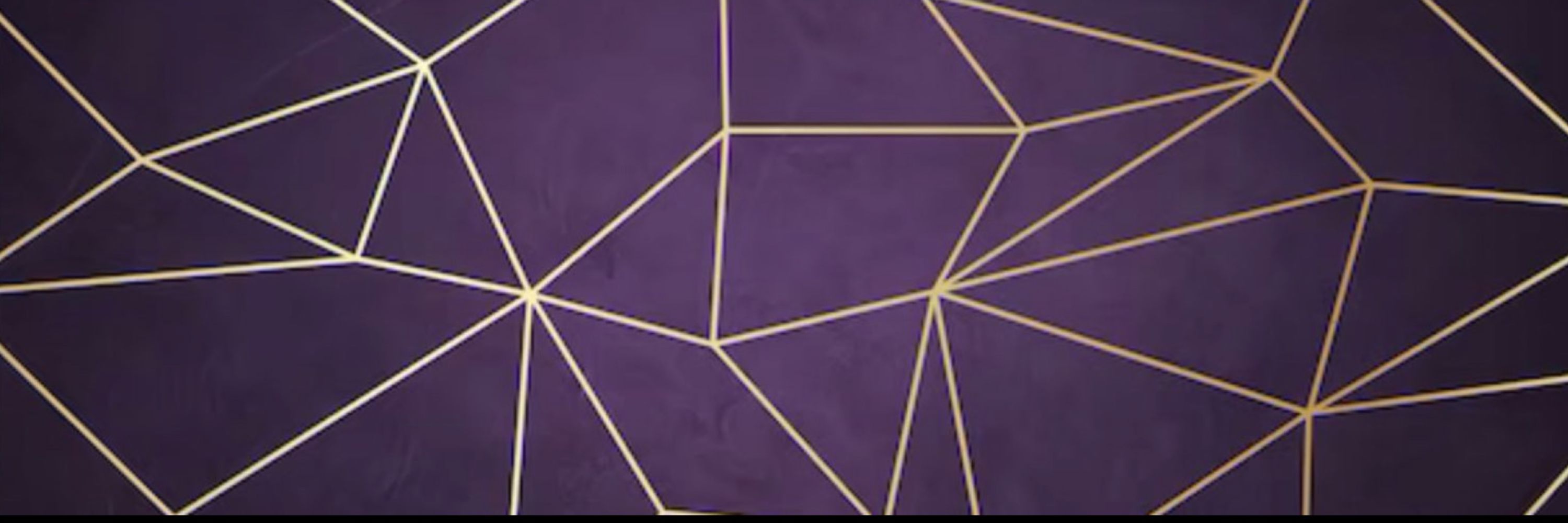 EssJay PURPLE PURPOSE