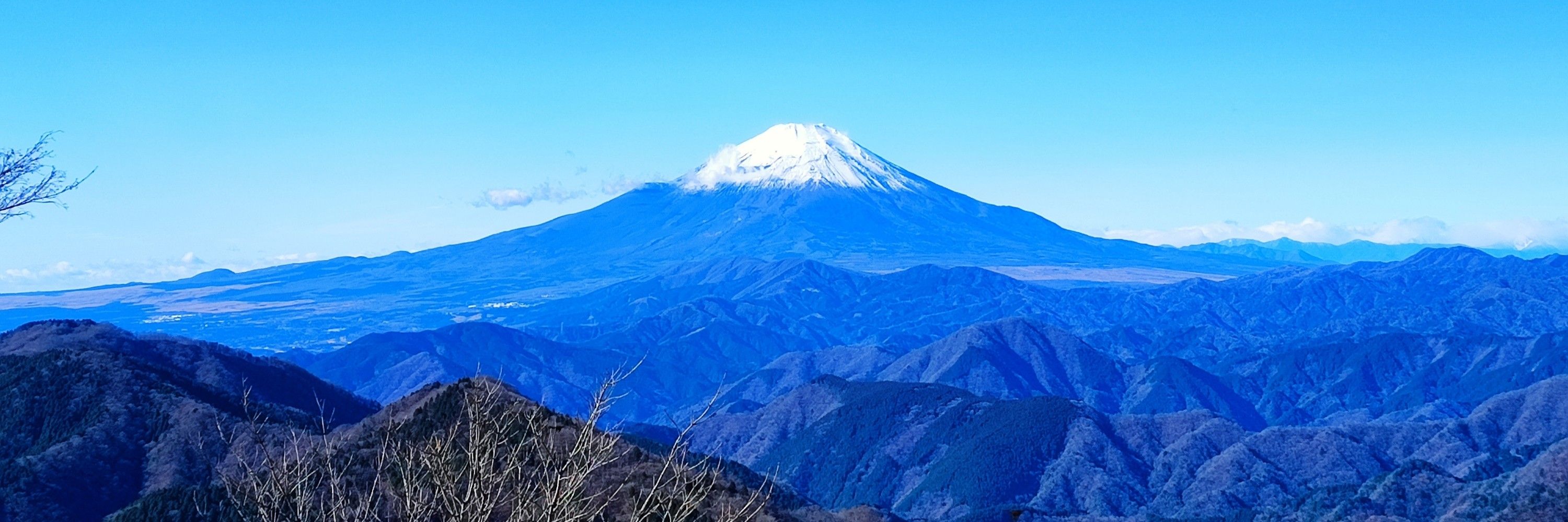 よしむりん