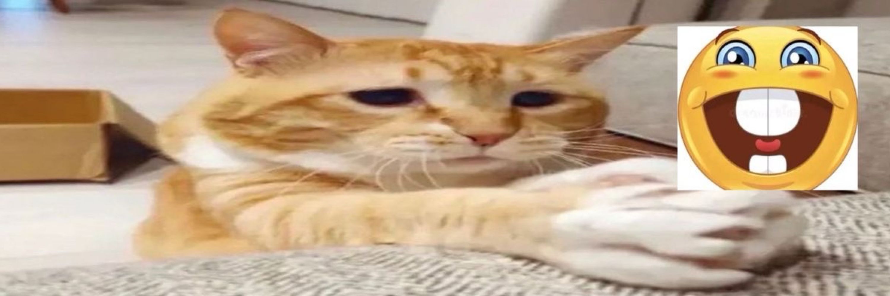 mrow