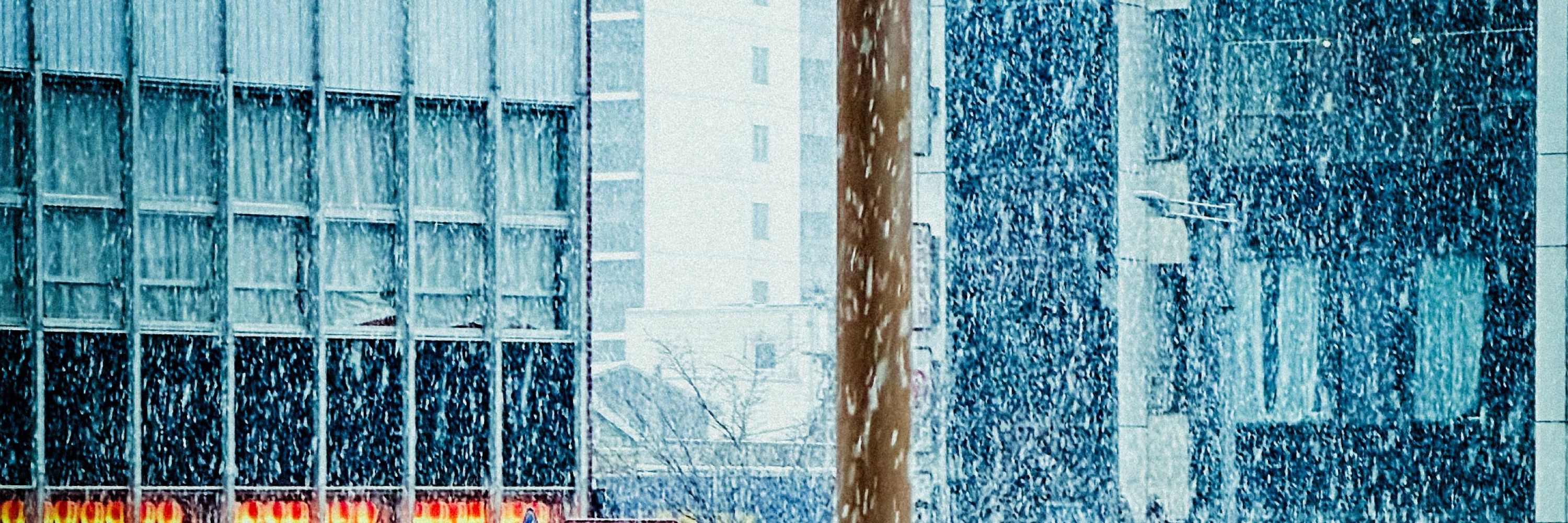 水縹 🌙🐈‍⬛4/7