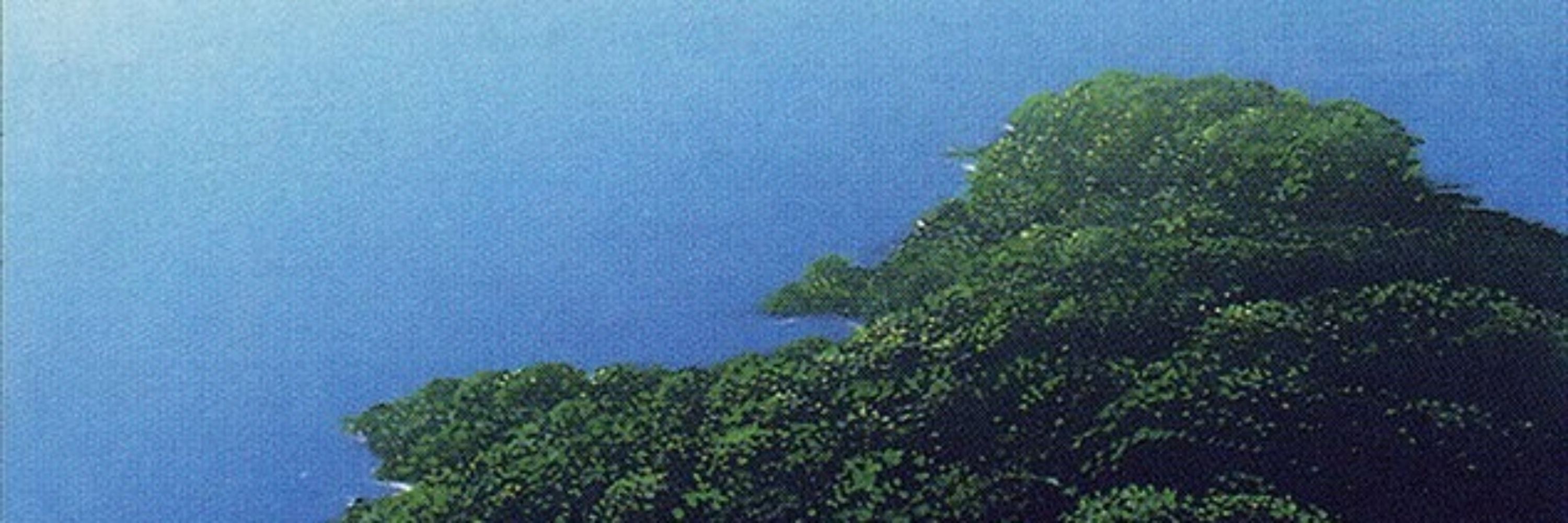 TwoUntappedIslands