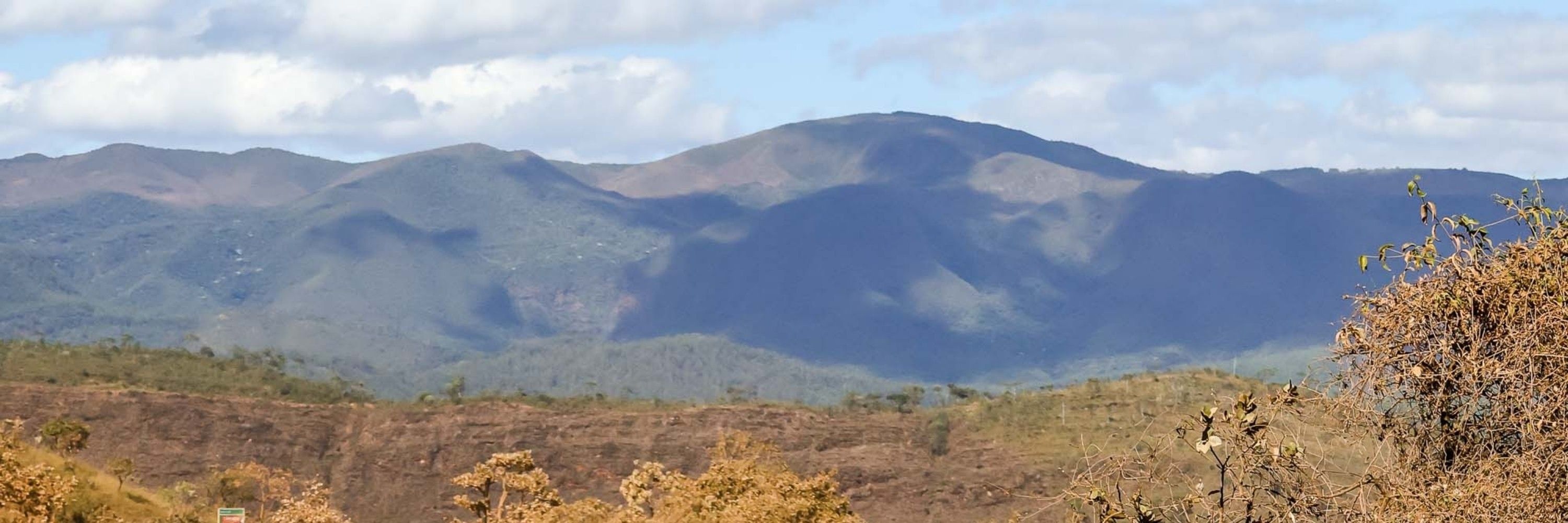 Honorio