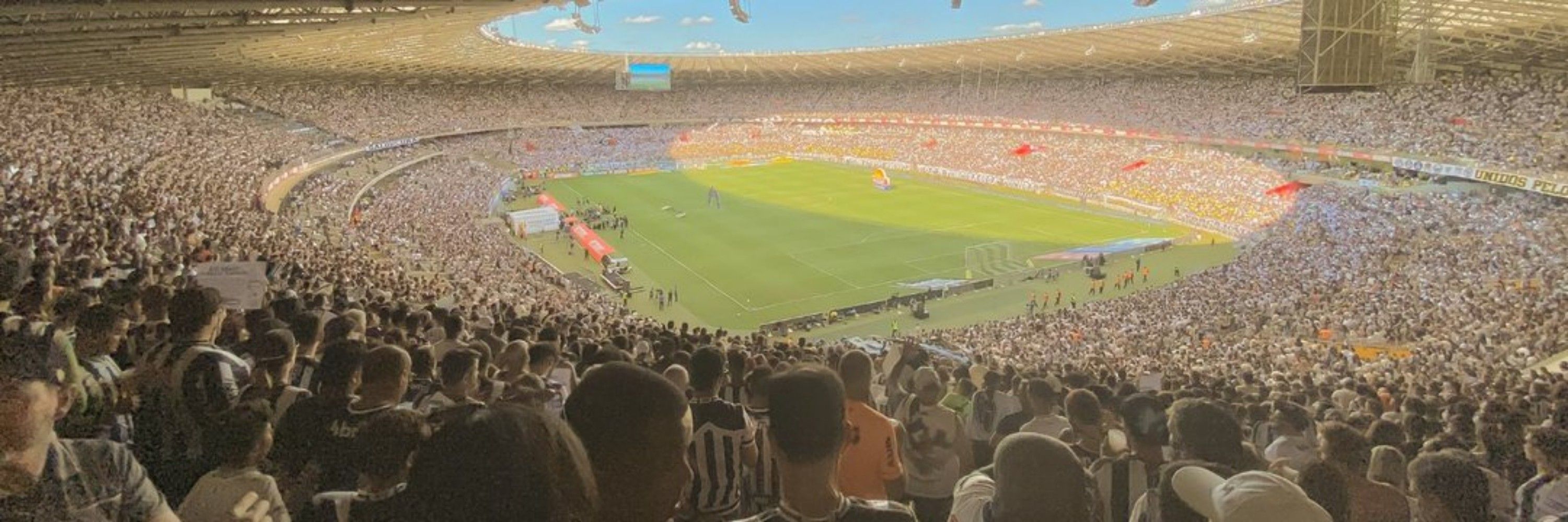 Fernando Oliveira Galo - ᶜᵃᵐ🐓