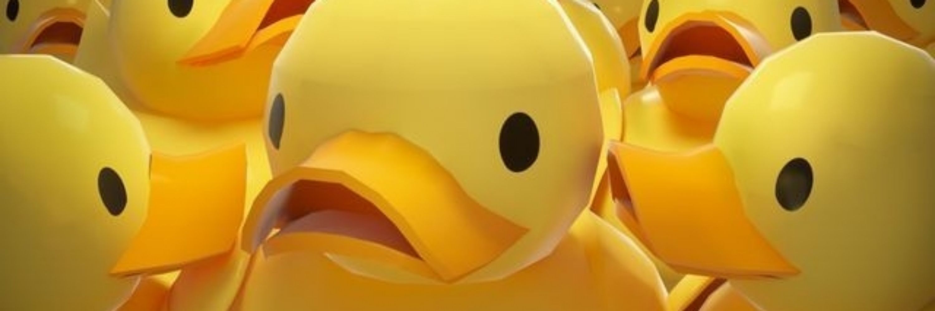 SimplyQUACKERS