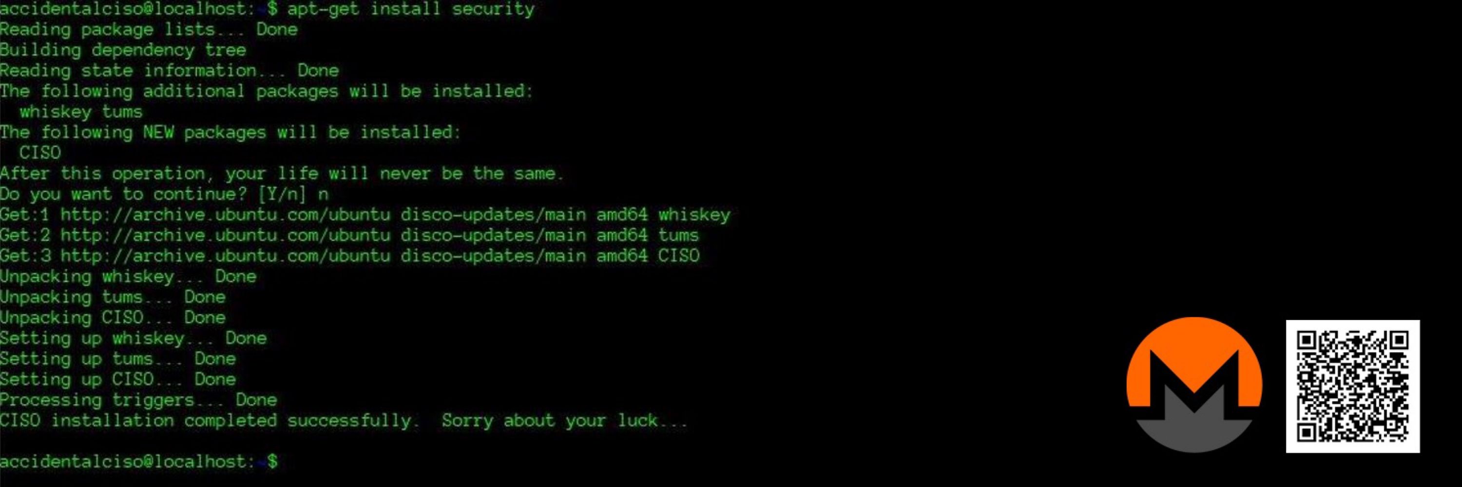 Accidental CISO