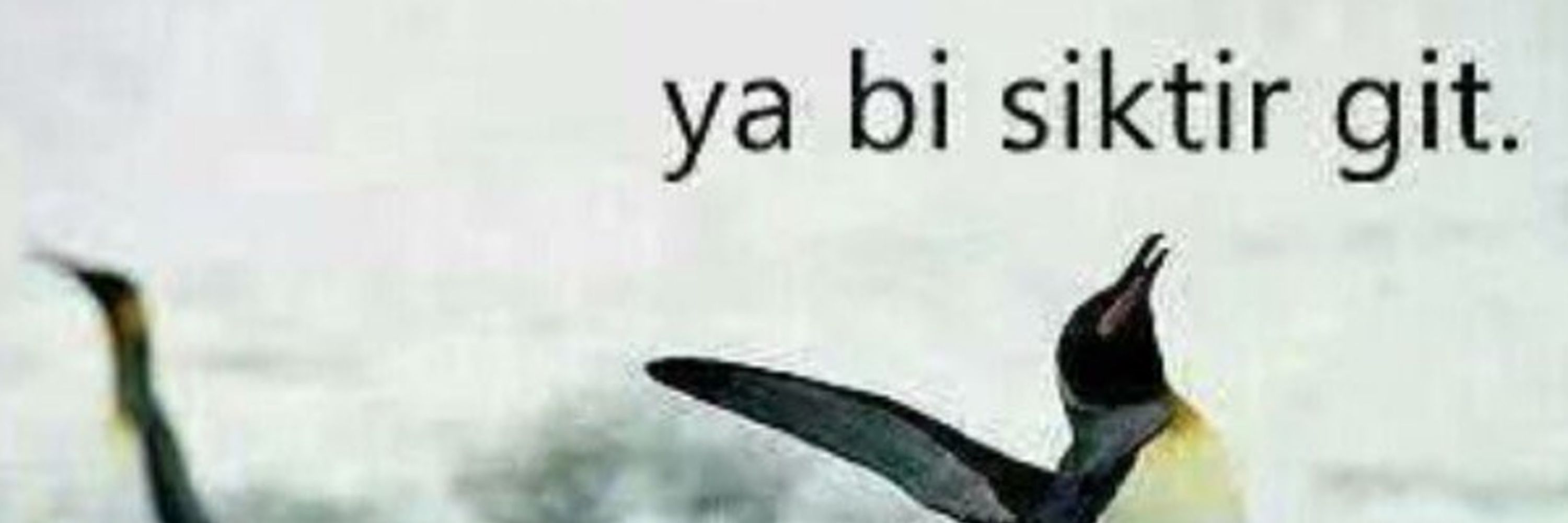 𐱅𐰇𐰼𐰰Atilla