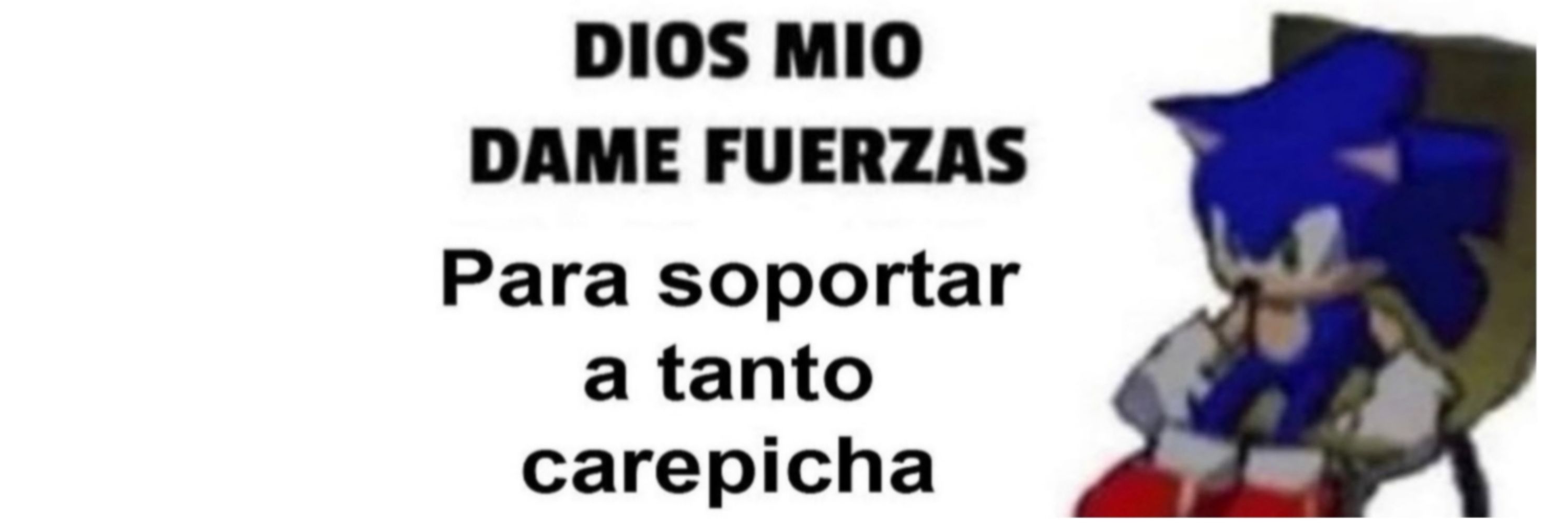 Sora_el_del_libro