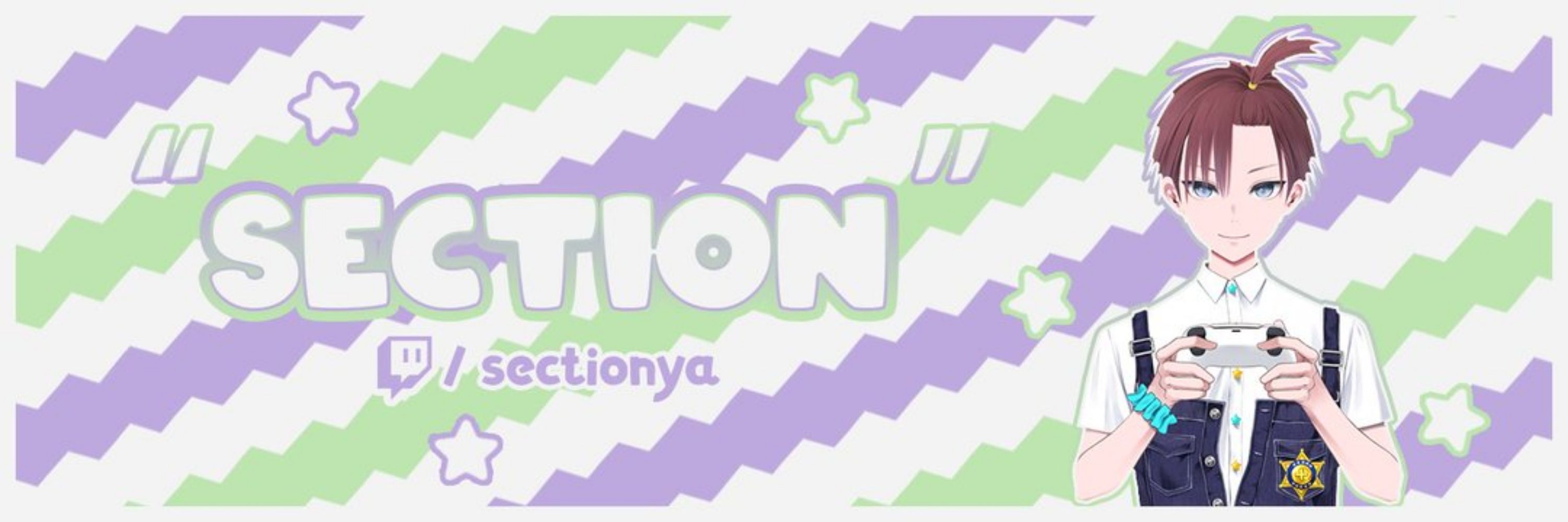SecTioN | Vtuber 🇵🇸