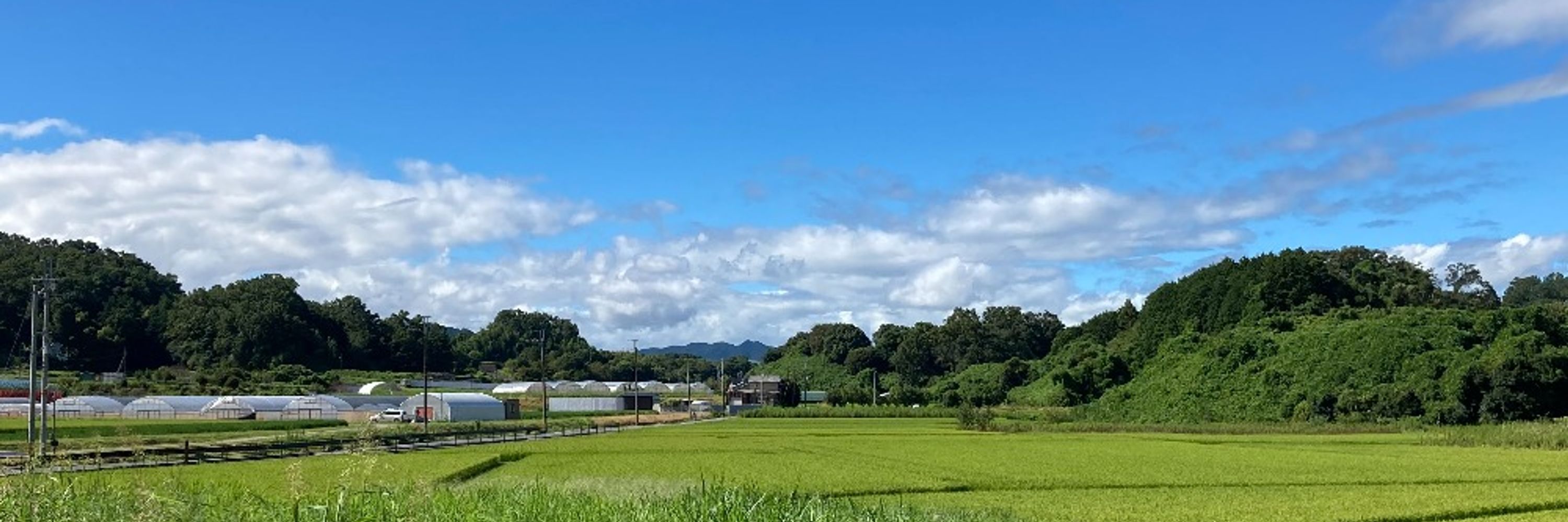 ななみ