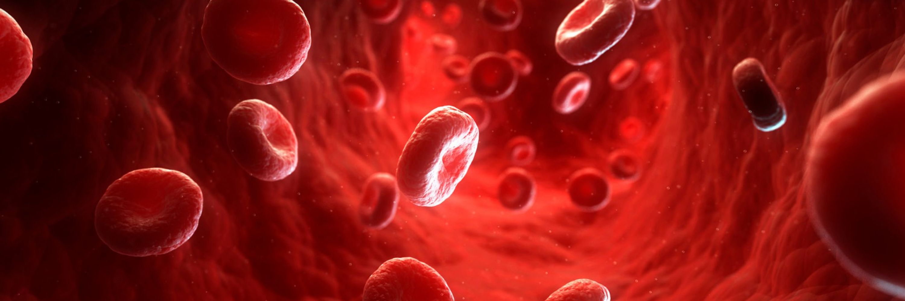 American Society of Hematology
