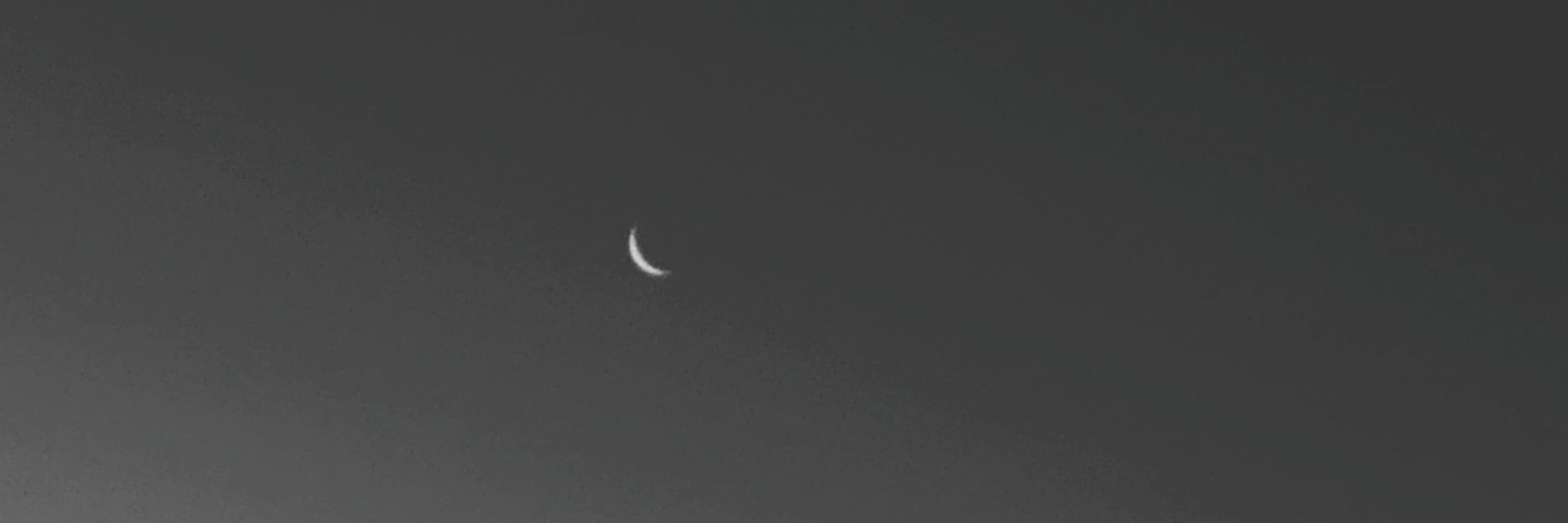 Lua🎀