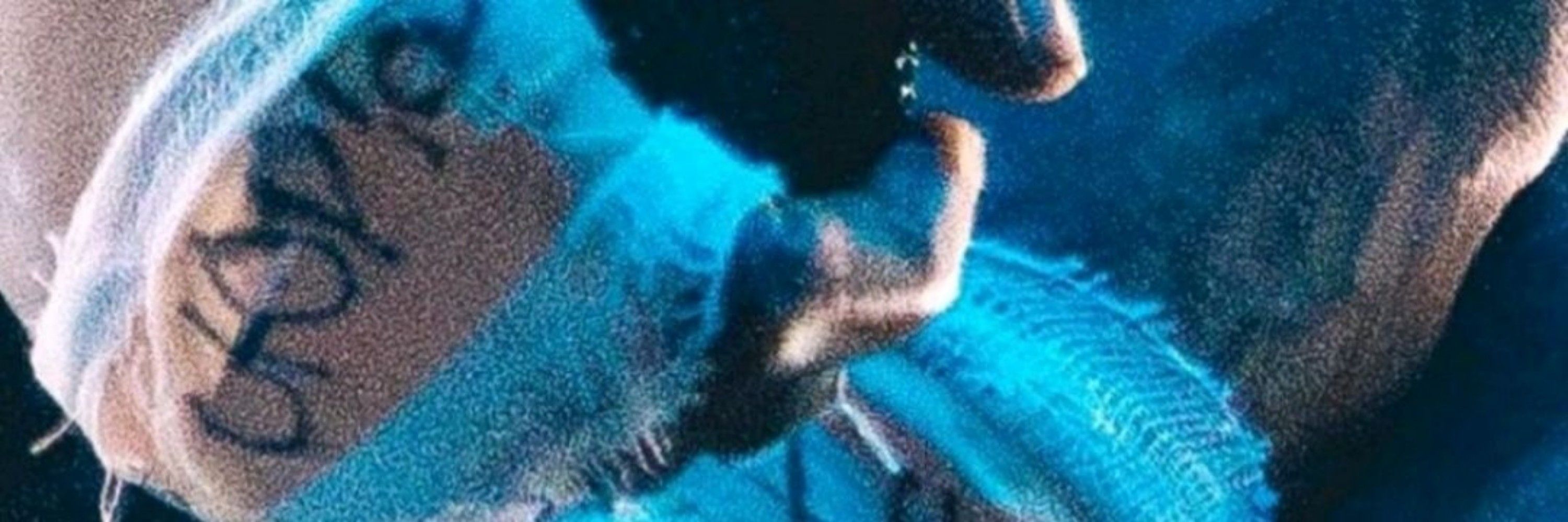 bi